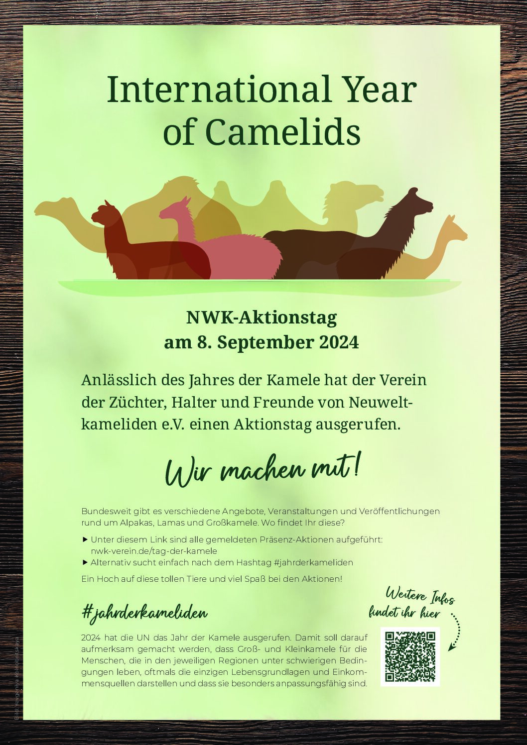 08. September Nachmittag der offenen Weide #JahrDerKameliden